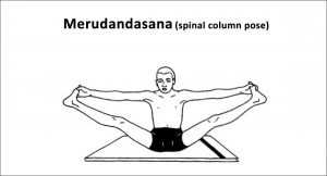 merudandasana-spinal-column-pose