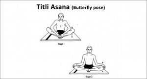 titli-asana-butterfly-pose