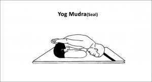 yogmudra-seal