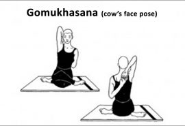 Gomukhasana cow s face pose  Yoga Vimoksha Goa 