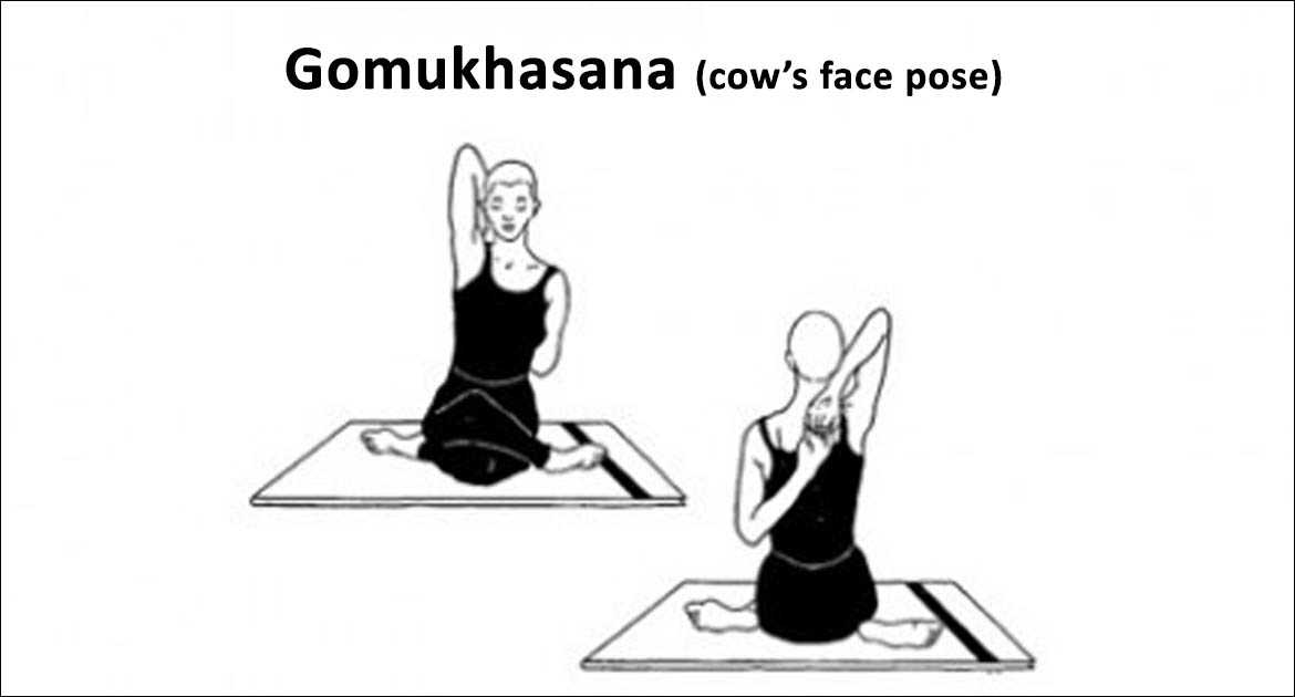 Gomukhasana (cow's face pose) - Yoga Vimoksha Goa