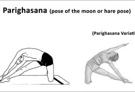 Gomukhasana cow s face pose  Yoga Vimoksha Goa 