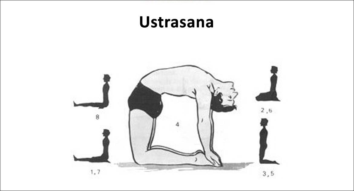 Ustrasana   Yoga Vimoksha Goa