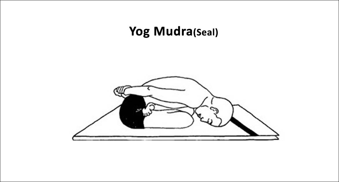 YogMudra (Seal) - Yoga Vimoksha Goa